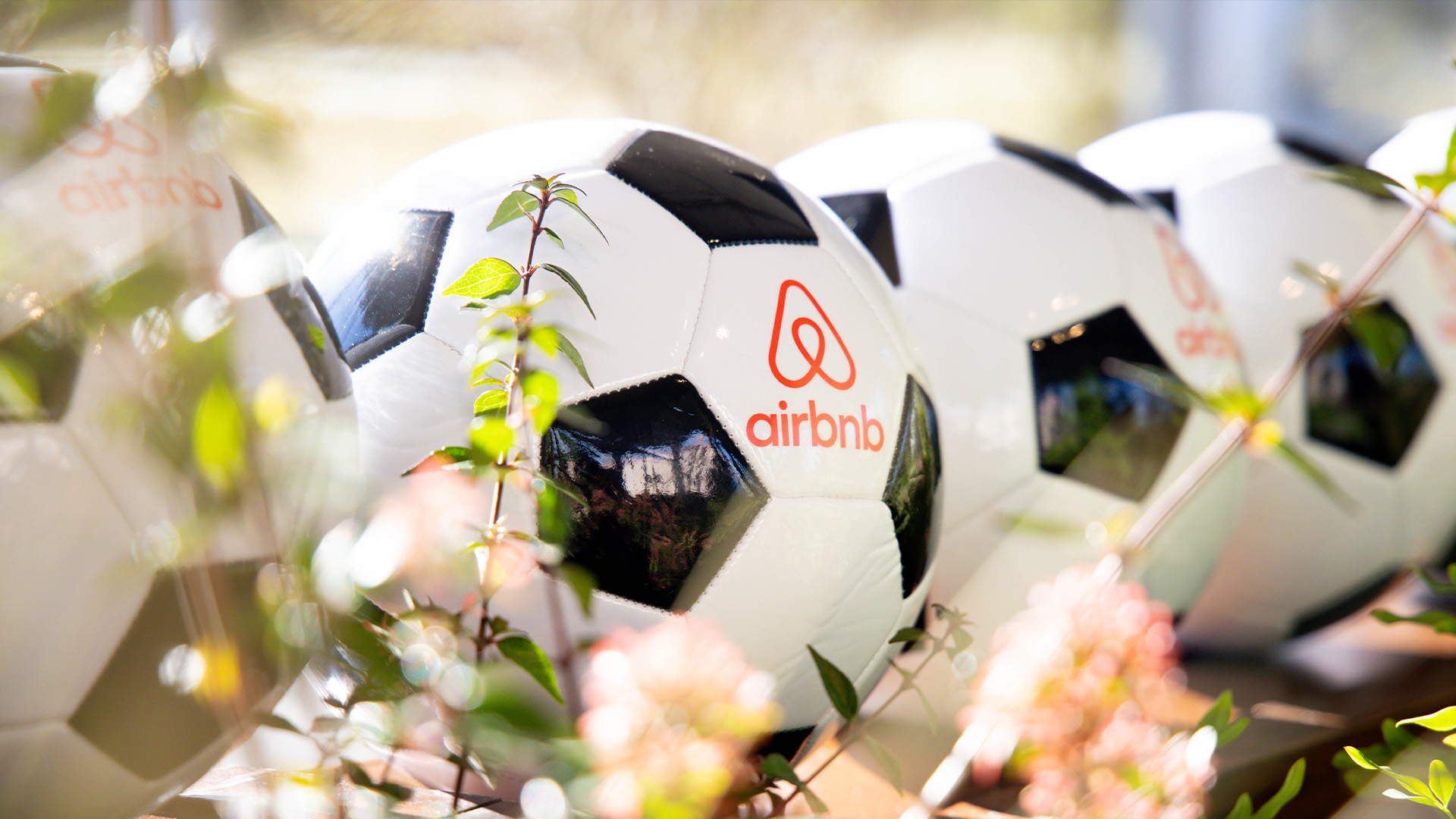 airbnb airbnb